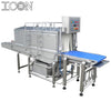 Model HS Sanitising Conveyor